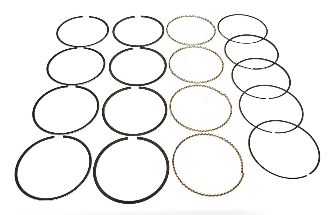 Total Source Hastings Piston Ring Set MBMD195853 NOS