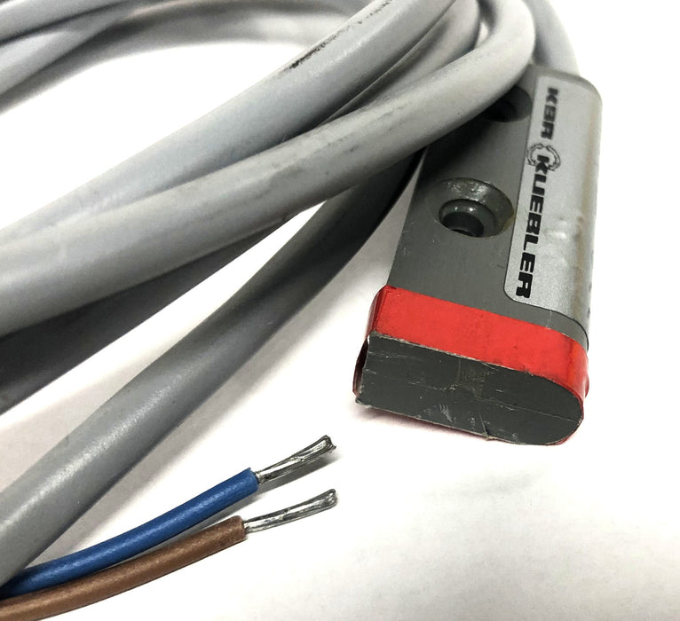 Kuebler K9R KSR Magnetschalter Door Switch Typ: FKS NOS