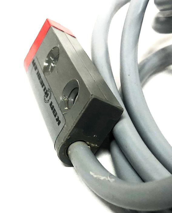 Kuebler K9R KSR Magnetschalter Door Switch Typ: FKS USED