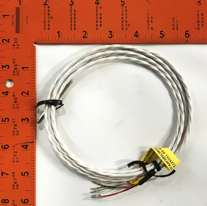 Future Design Controls 6-Wire RTD-40 Tag Sensor RAF285L383Z-002-00-18-T30729 NOS