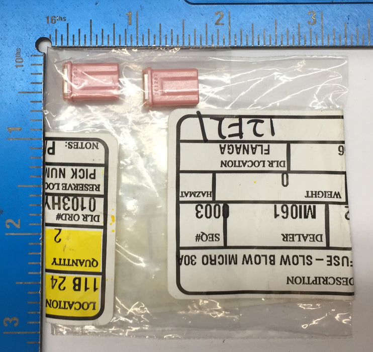 Hyundai Slow Blow Micro 30A Fuse 18790 04933 [Lot of 2] NOS