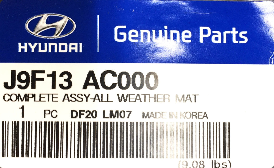 Hyundai All Weather Mat Set J9F13 AC000 NOS