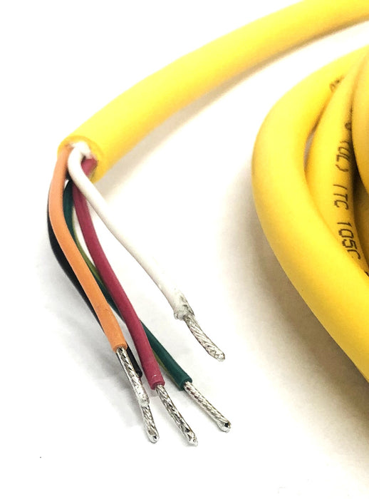 Turck 5-Pin Automation Cable RYV 58-6M NOS