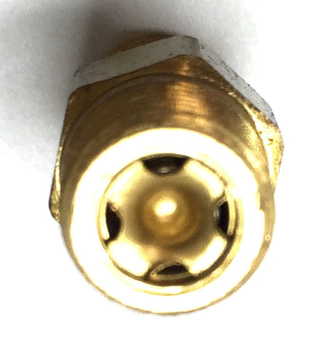 Bijur Delimon Valve Check Assembly B5290 NOS