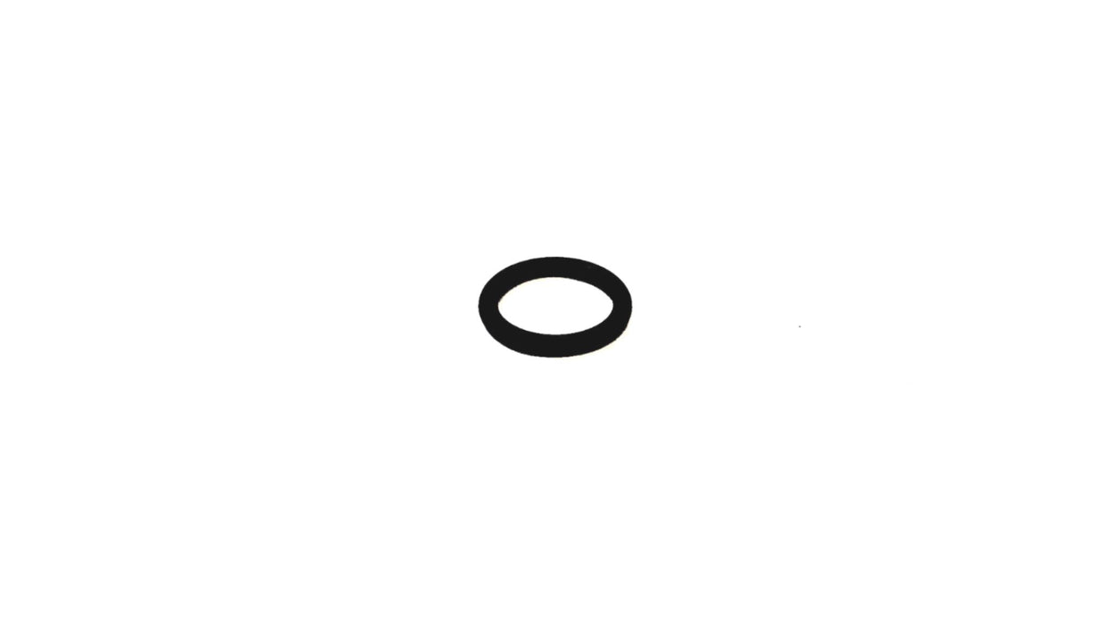 Cummins O-Ring Seal 4928599 [Lot of 2] NOS