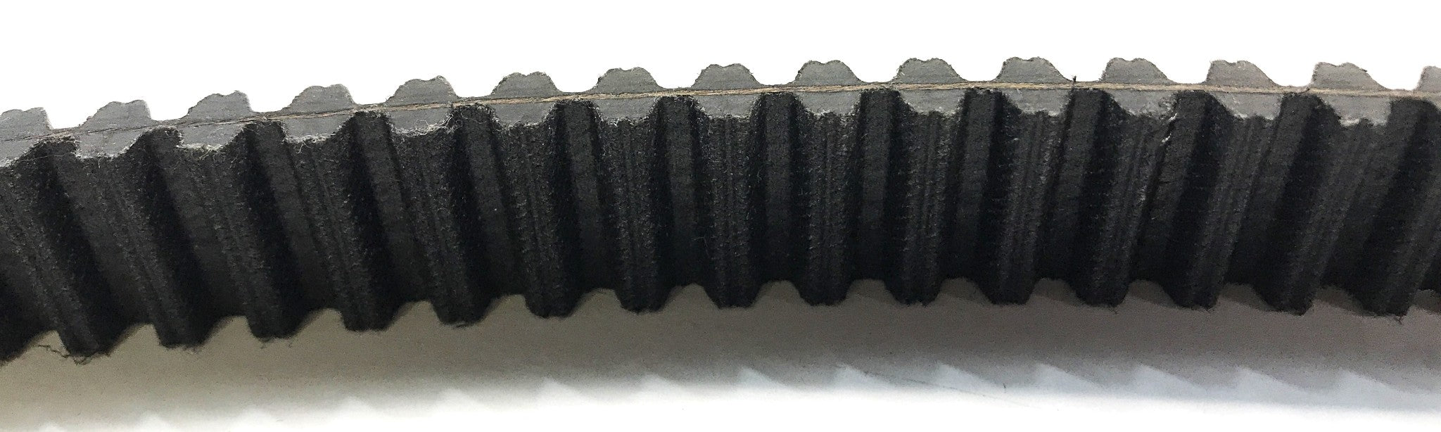 MEGADYNE Timing Belt 1600 RPP8 309 NOS