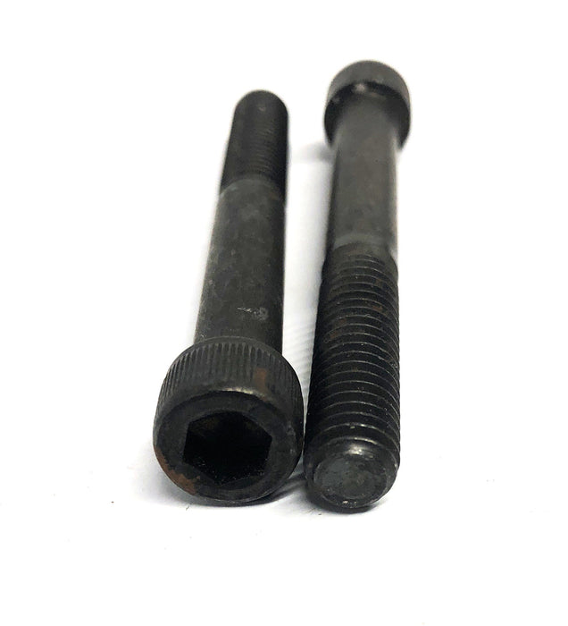 Unbranded 2-3/4 Inch Socket Head Bolts 5/16-18 [Lot of 20] NOS