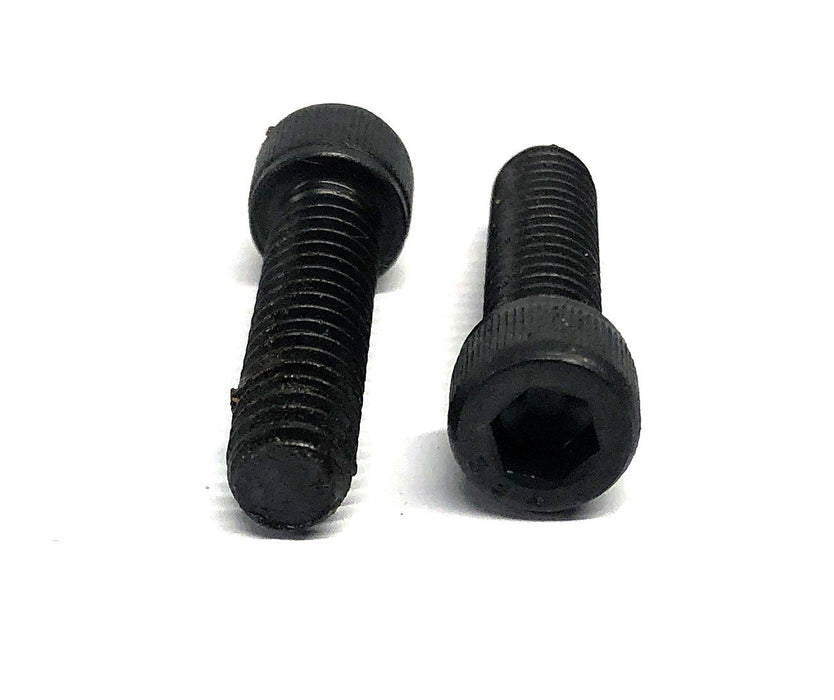 Unbranded 1 Inch Socket Head Bolts 1/4-20 [Lot of 65] NOS