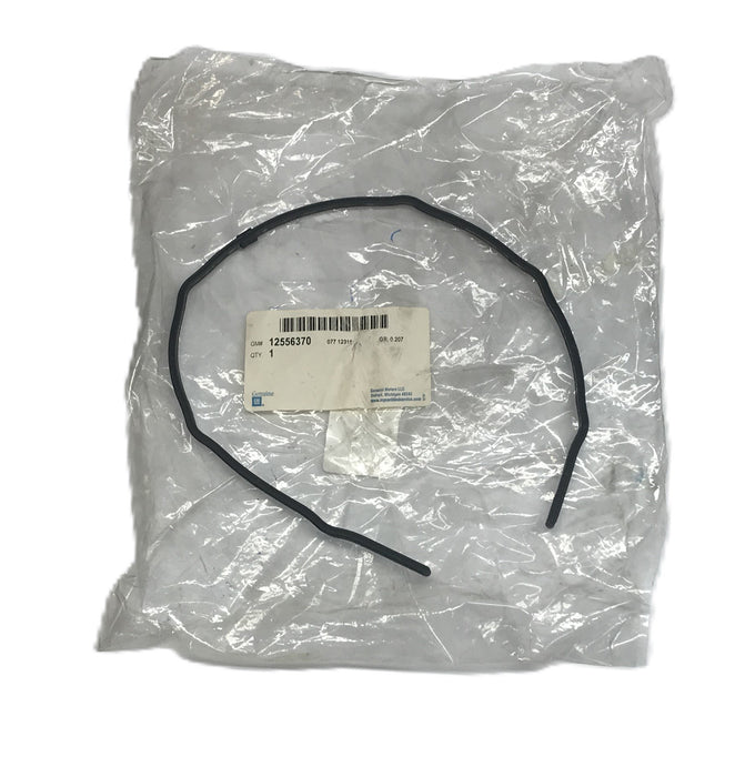 GM General Motors Timing Cover Gasket 12556370 NOS