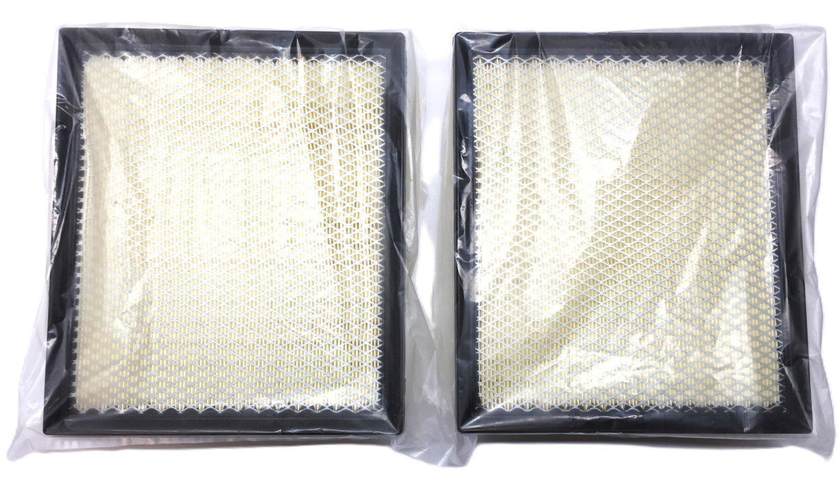 Ecogard Premium Air Filter XA10242 [Lot of 2] NOS