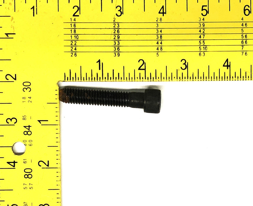 Unbranded Socket Head Bolts 3/8-16 [Lot of 45] NOS