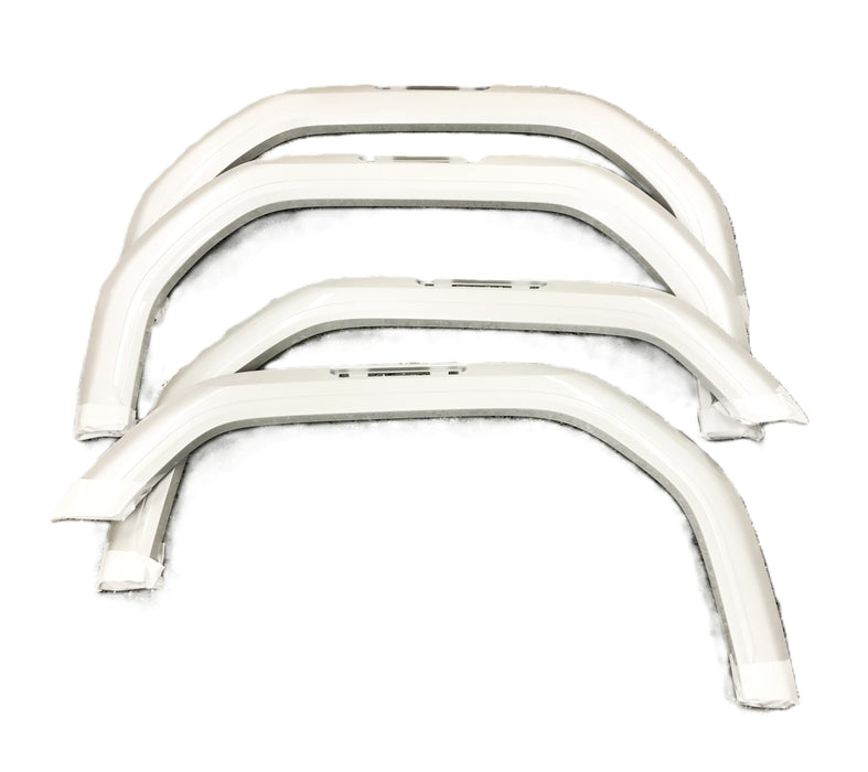 GM (GMC) Fender Flare Set 84848539 NOS