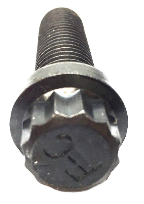 Cummins Twelve Point Cap Screw 202159 NOS