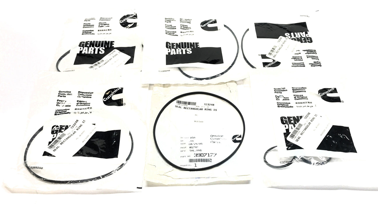 Cummins Rectangular Ring Seal 3907177 [Lot of 6] NOS