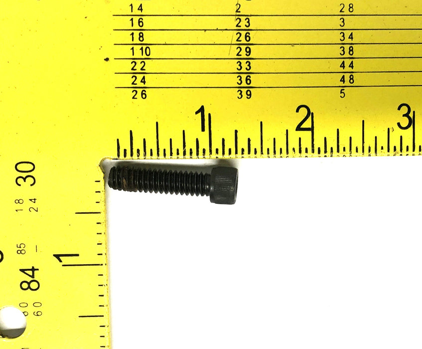 Unbranded 1 Inch Socket Head Bolts 1/4-20 [Lot of 60] NOS