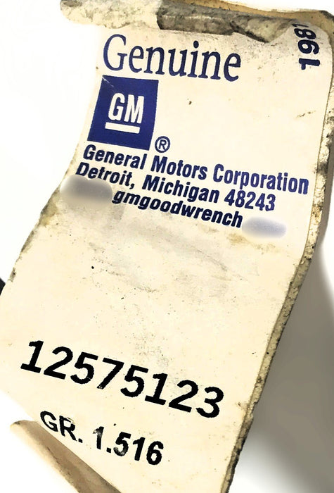GM General Motors Engine Oil Dipstick 12575123 NOS
