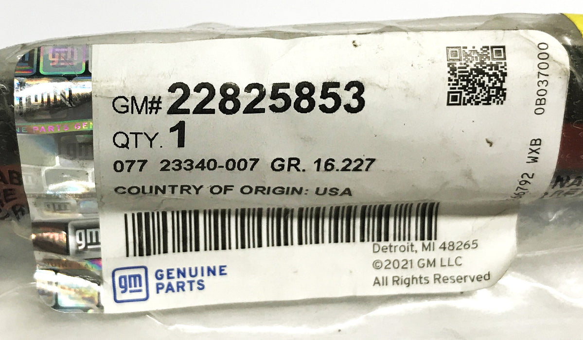 GM Exterior Rear Weatherstrip 22825853 NOS