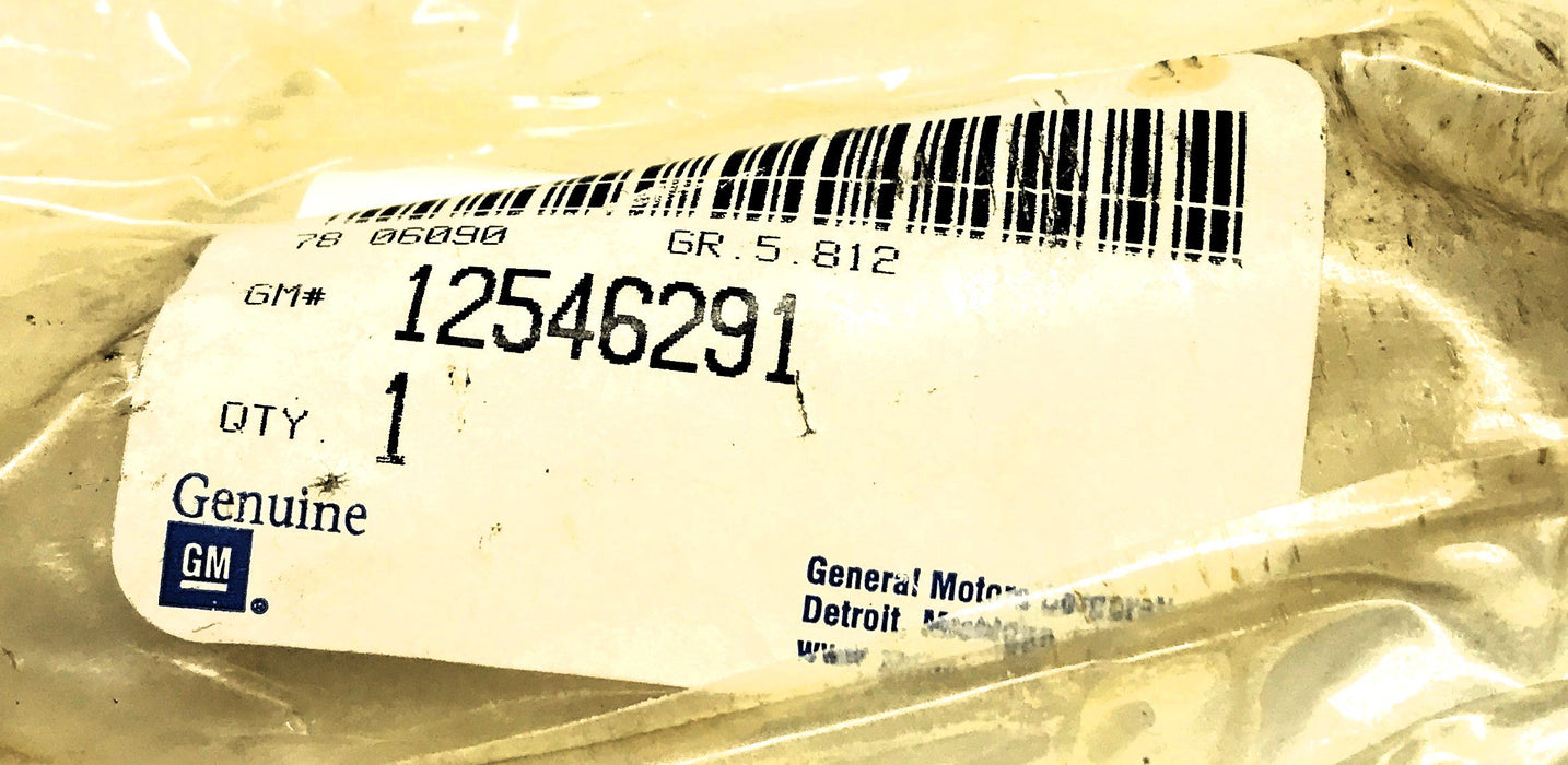 GM General Motors Rear Wheel Stud 12546291 [Lot of 2] NOS