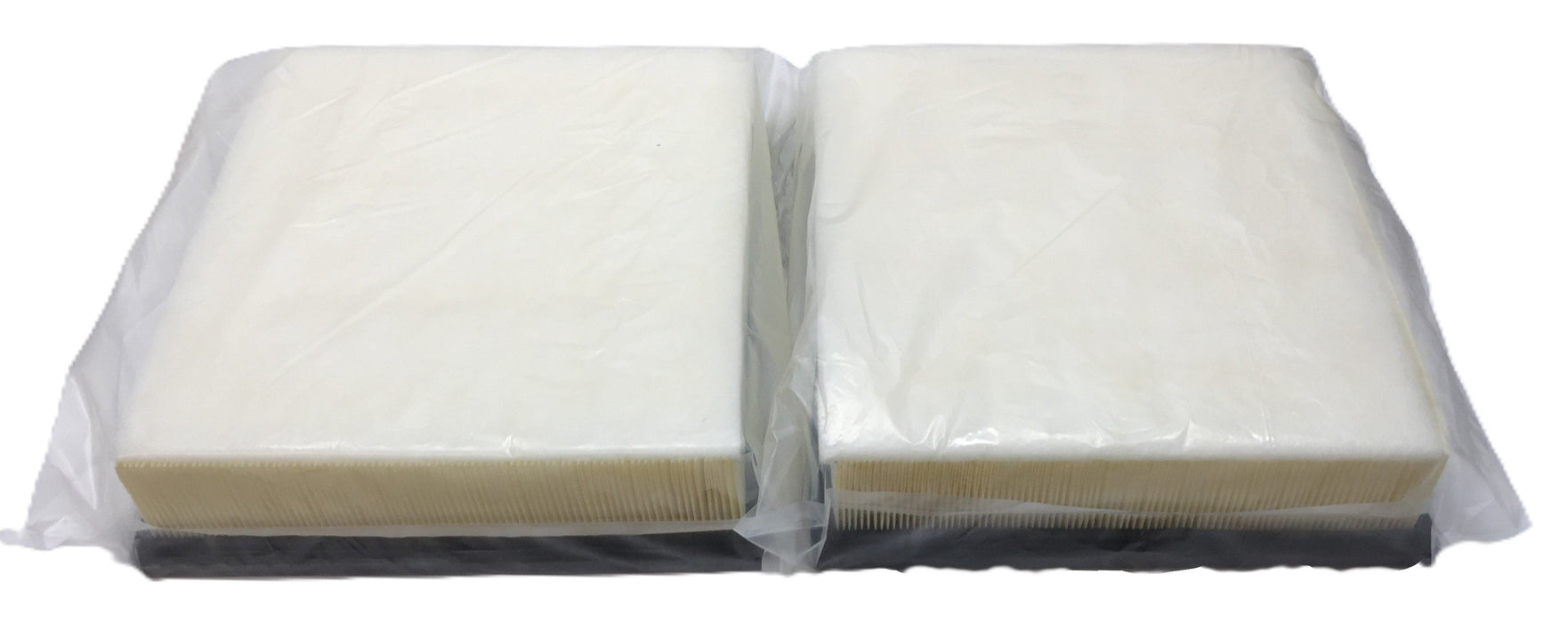 Ecogard Premium Air Filter XA10242 [Lot of 2] NOS