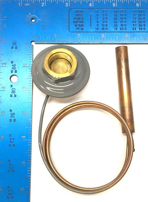 Thermo King Expansion Valve Element 66-4213 NOS