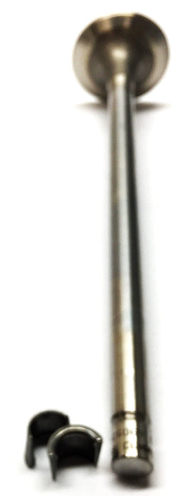 Cummins Intake Valve 4955239 [Lot of 3] NOS