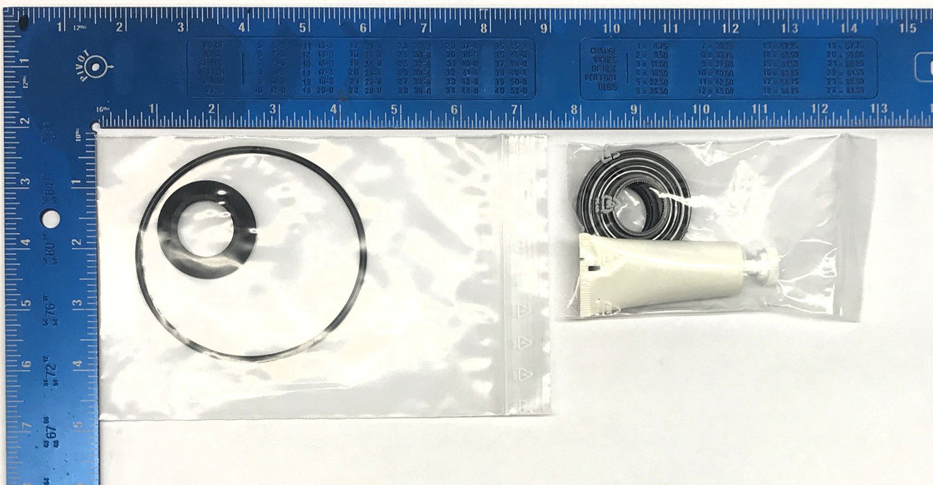 GM General Motors Steering Gear Seal Kit 19256748 NOS