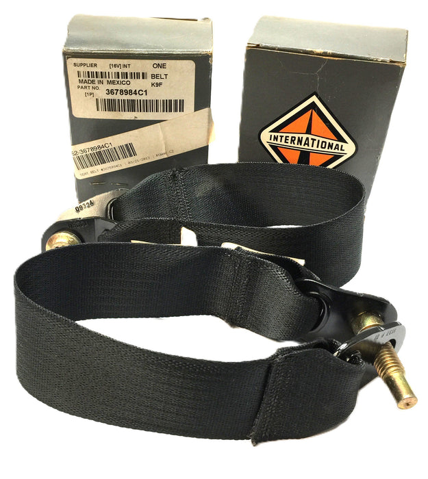 International Seat Belt Anchor 3678984C1 [Lot of 2] NOS