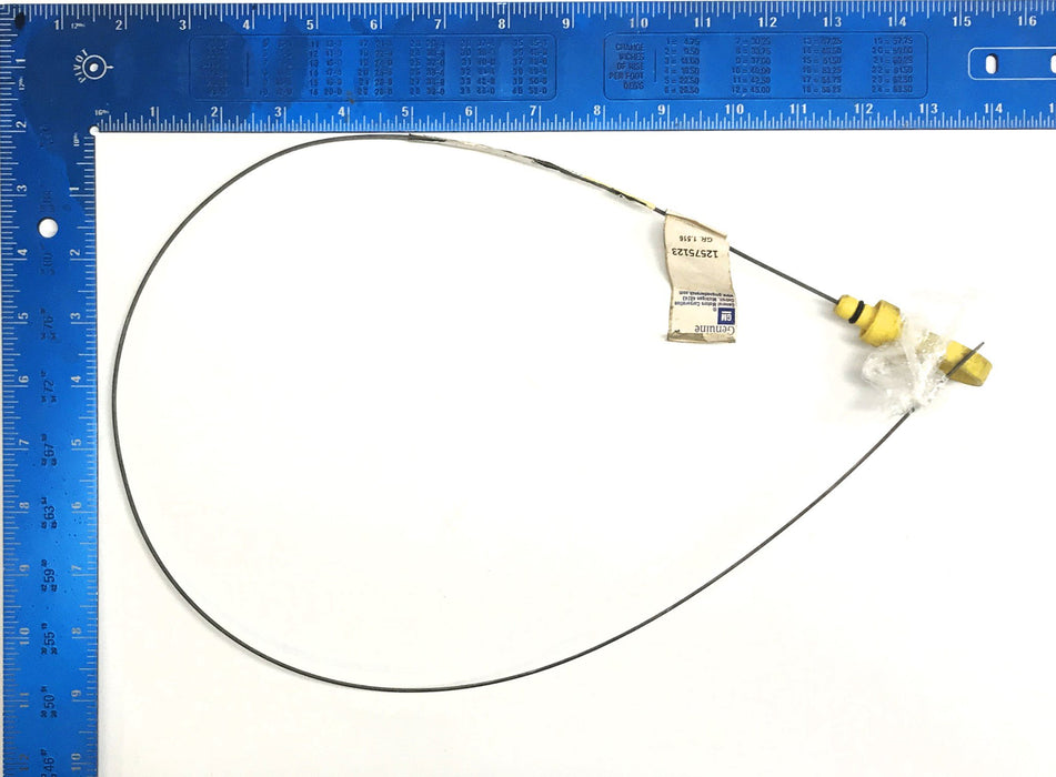 GM General Motors Engine Oil Dipstick 12575123 NOS