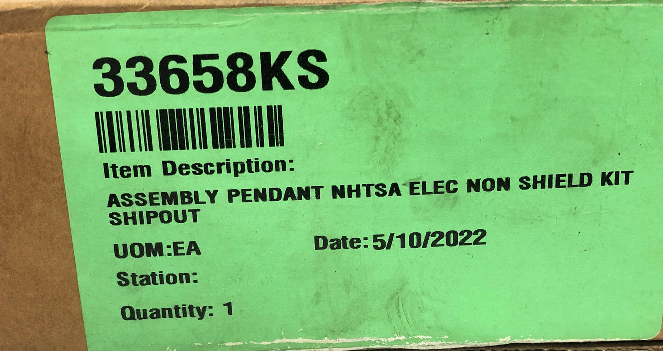 Braun NHTSA Electric Non-Shield Pendant Assembly 33658KS NOS - GTS SPECIAL