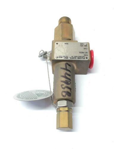 Flow Safe 300 PSIG Micro Safety Valve F84M-2