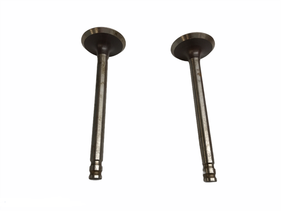 Federal Mogul Engine Intake Exhaust Valve Set V-10766 [Lot of 2] NOS