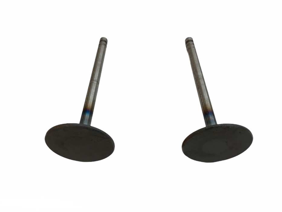 Federal Mogul Engine Intake Exhaust Valve Set V-3388AL [Lot of 2] NOS