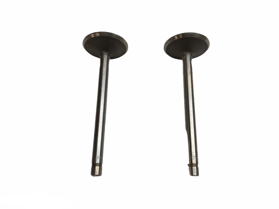 Federal Mogul Engine Intake Exhaust Valve Set V-3889 NOS