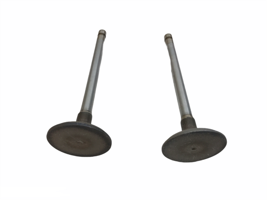 TRW Engine Intake Valve Set S2806 NOS