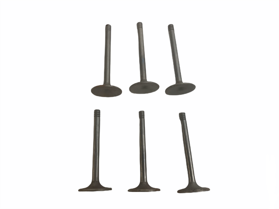 TRW Engine Exhaust Intake Valve Set 6-V2096 NOS