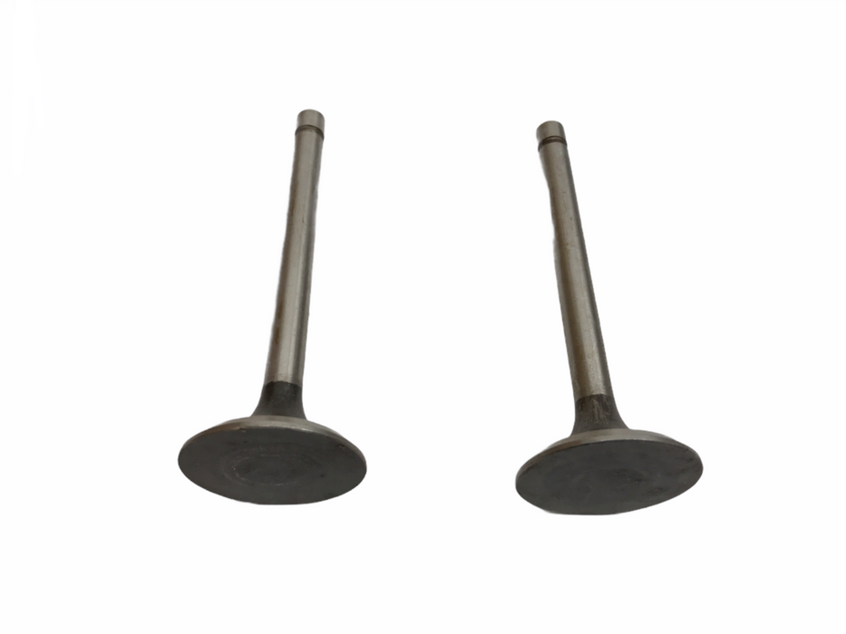 Federal Mogul Engine Intake Valve Set V10591 NOS