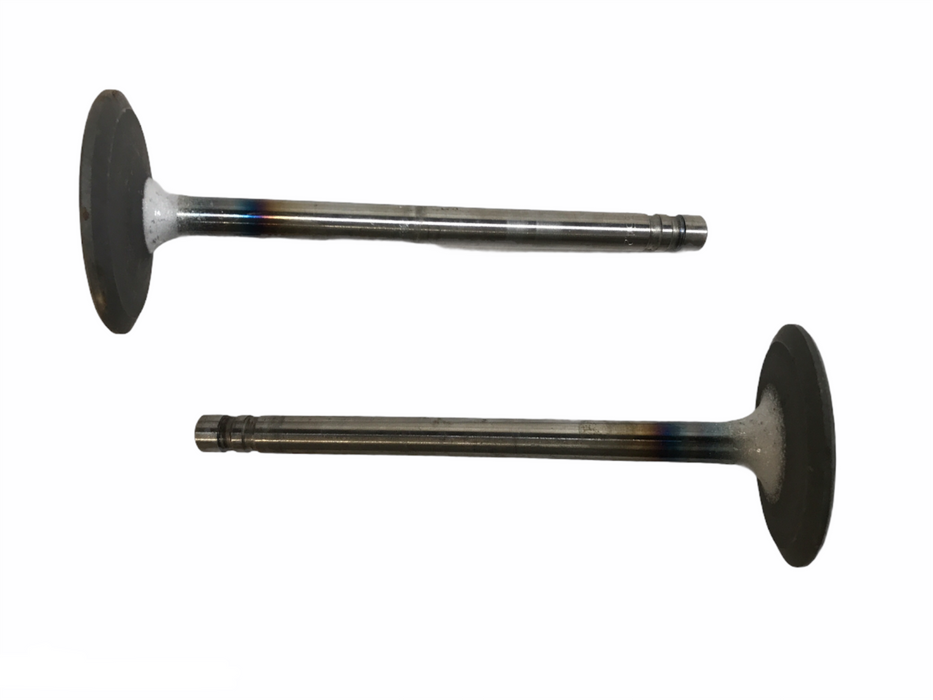 Federal Mogul Engine Intake Exhaust Valve Set V-3388AL [Lot of 2] NOS