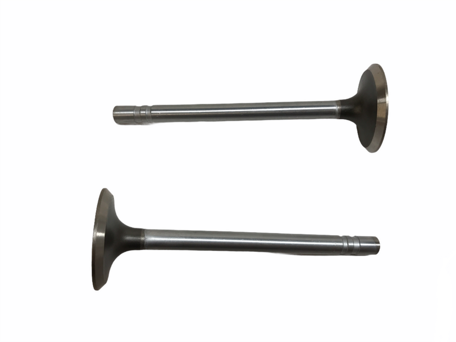 Federal Mogul Engine Intake Exhaust Valve Set X-3870AL NOS