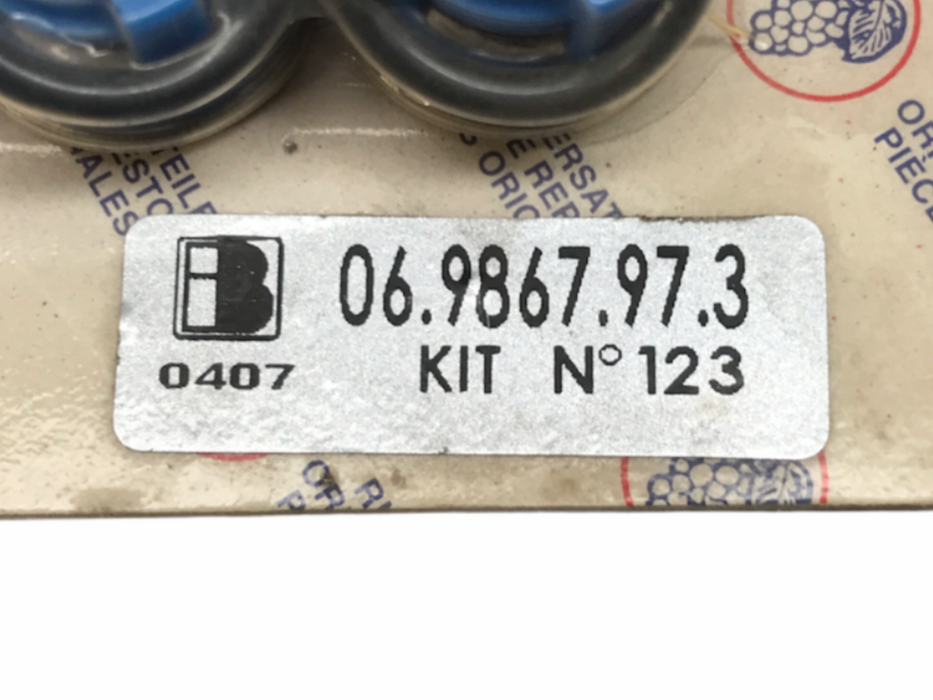 Bertolini Check Valve/O Ring Kit 06.9867.97.3 NOS