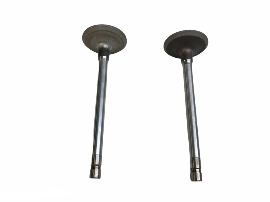 TRW Engine Intake Exhaust Valve Set S2806 [Lot of 2] NOS