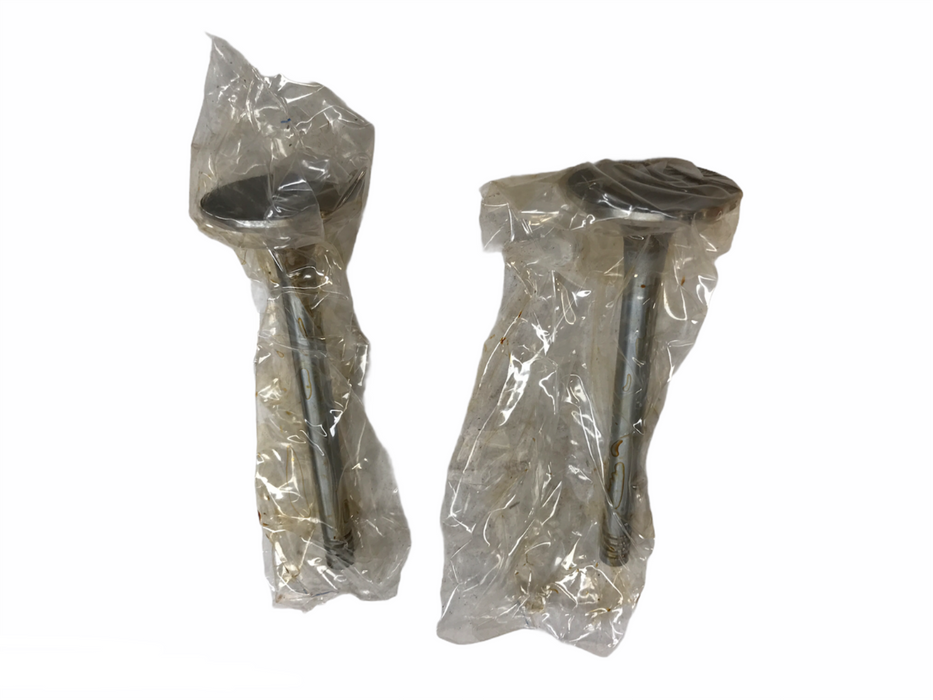 Federal Mogul Engine Intake Exhaust Valve Set X-4241 [Lot of 2] NOS