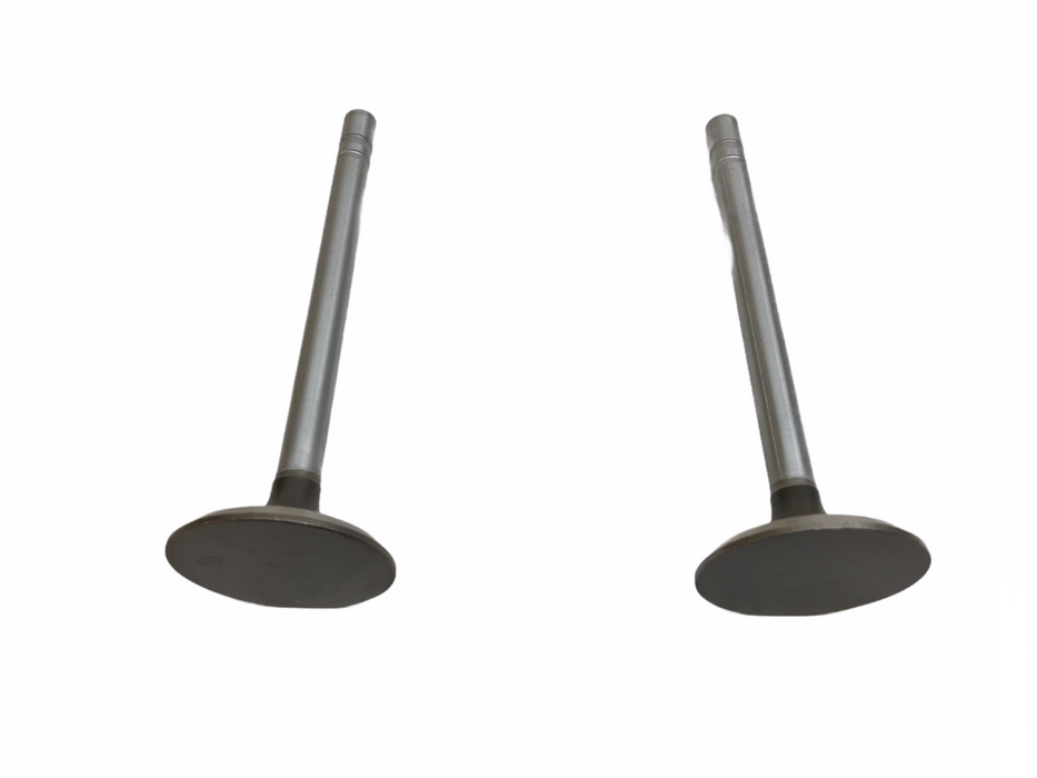 Federal Mogul Engine Intake Exhaust Valve Set X-3870AL NOS