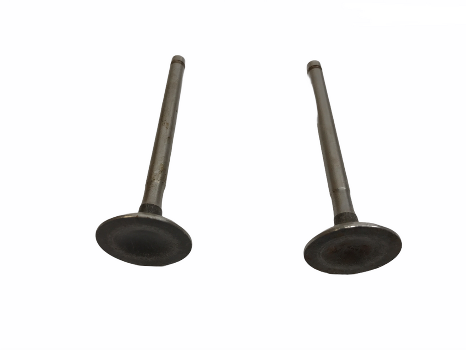 Federal Mogul Engine Intake Valve Set V10427 NOS