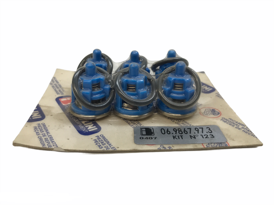 Bertolini Check Valve/O Ring Kit 06.9867.97.3 NOS