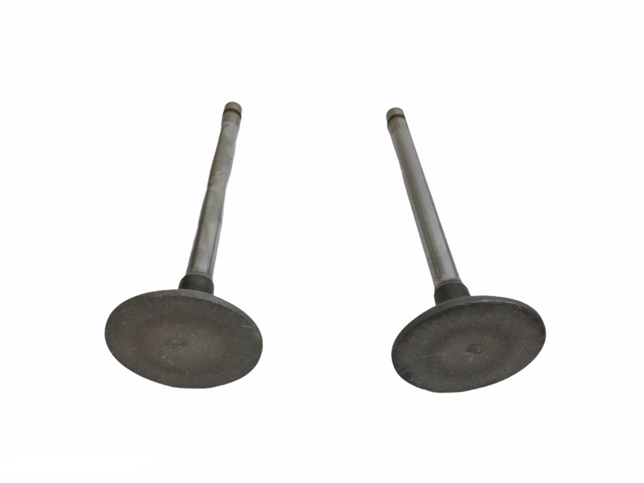 TRW Engine Intake Exhaust Valve Set S2806 [Lot of 2] NOS