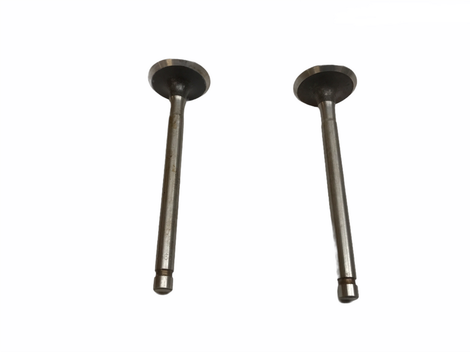 Federal Mogul Engine Intake Valve Set V10427 NOS