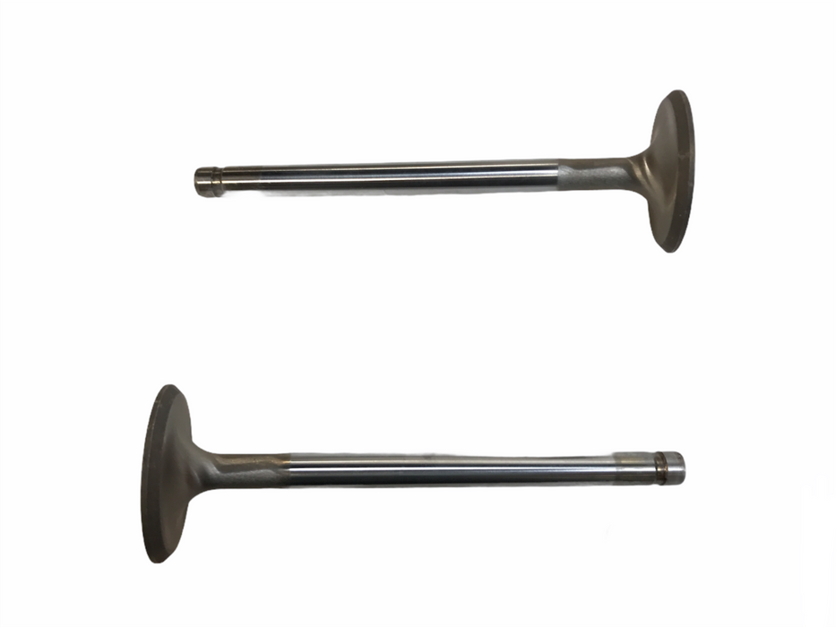 Federal Mogul Engine Intake Exhaust Valve Set X3391AL  NOS