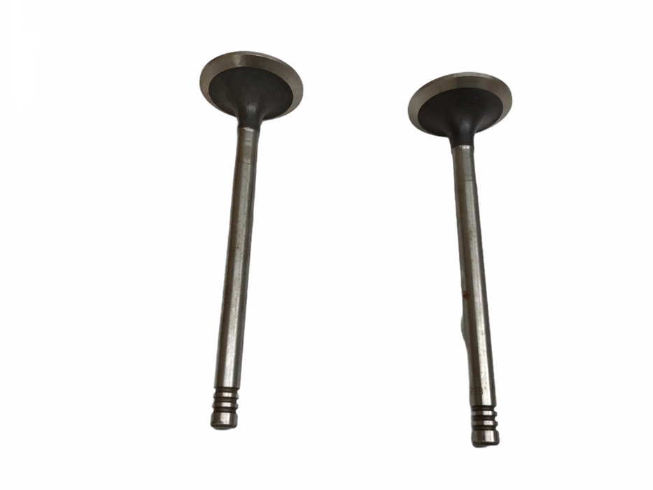 Federal Mogul Engine Intake Valve Set V-10293 NOS