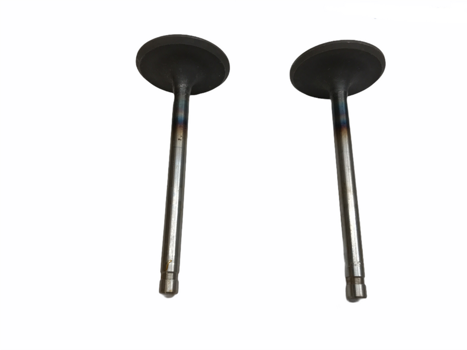 TRW Engine Intake Exhaust Valve Set V-2497 [Lot of 2] NOS