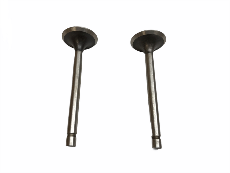 Federal Mogul Engine Intake Valve Set V10591 NOS
